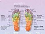 Reflexology service in Clearwater, FL and Palm Harbor, FL